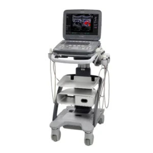 Siemens Acuson P500 bei Sonowied