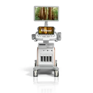 Siemens Acuson Redwood bei Sonowied