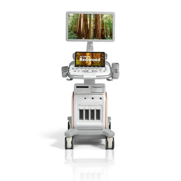 Siemens Acuson Redwood bei Sonowied