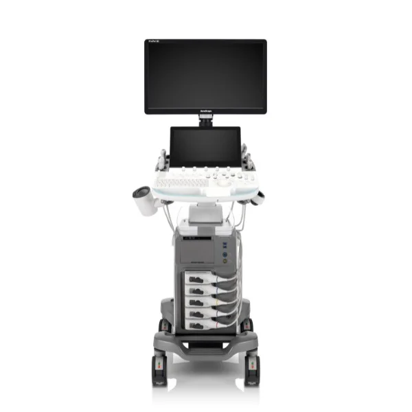 SonoScape ProPet 80 bei Sonowied